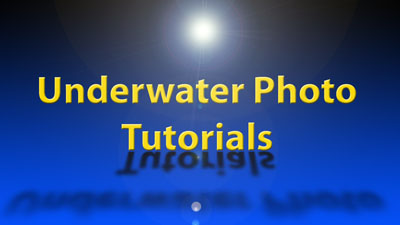 Underwater Photo Tutorials
