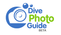 Dive Photo Guide